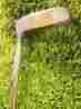 8800 Wilson Putter Golf Club 8800 Wilson Putter Golf Club