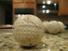 Antique Mesh Bramble Gutty Cudahys Puritan Golf Ball Cudawhy