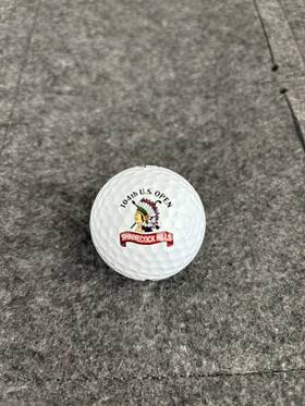 Titleist 410263000028 2004 Vintage 104th Us Open New Shinecock Hills