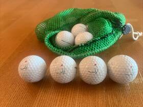 Titleist Hp2-90 20-masters Augusta National Practice Golf Balls Pro V1 And 392 Mesh Bag