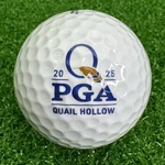 2025 Pga Championship Logo Golf Ball Tour Titleist Scheffler Win. Fixed Price $11.99.