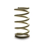 Landrum J450 Gold Series Rear Coil Springs, 13 X Od,. Fixed Price $89.99.