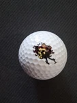 Grateful Dead Berth Skull Golf Ball By Spalding 1 Unused. Fixed Price $6.95.